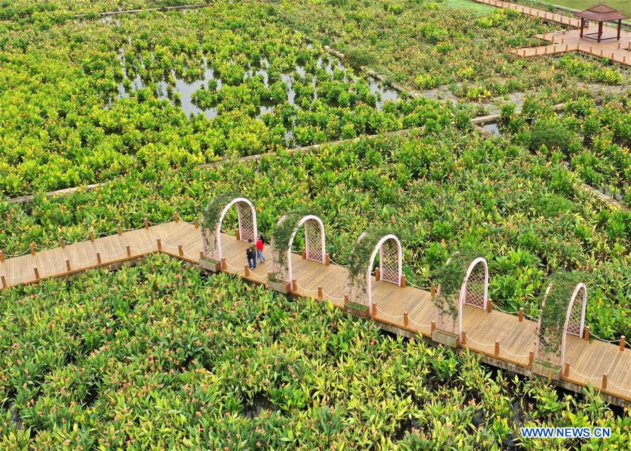 CHINA-GUANGXI-NANNING-SPRING-WETLAND (CN)