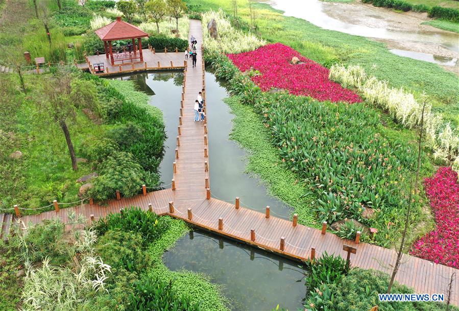 CHINA-GUANGXI-NANNING-SPRING-WETLAND (CN)