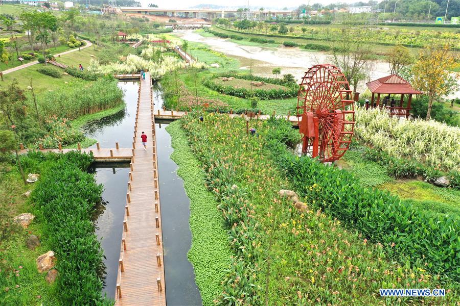 CHINA-GUANGXI-NANNING-SPRING-WETLAND (CN)