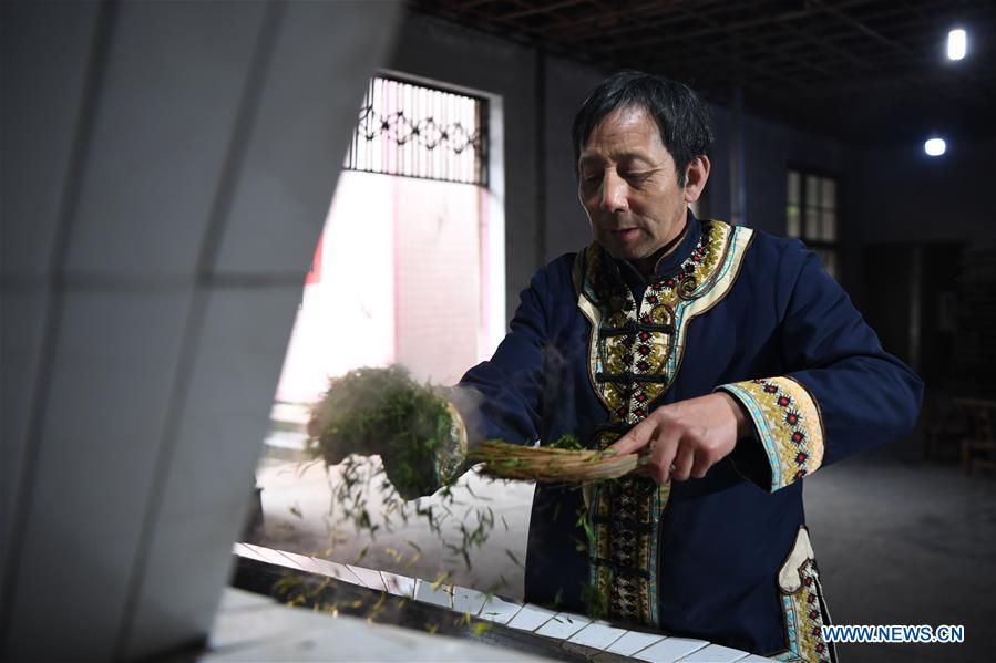 CHINA-HUNAN-SPRING TEA (CN)