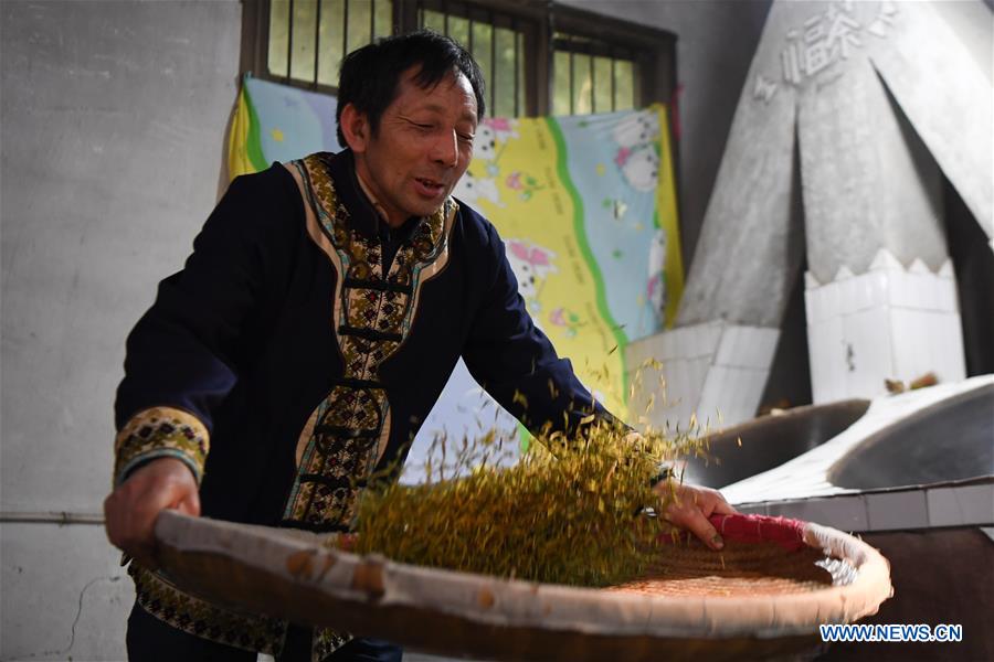 CHINA-HUNAN-SPRING TEA (CN)