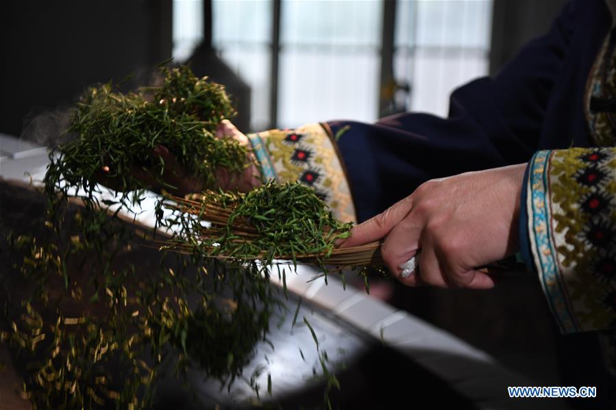 CHINA-HUNAN-SPRING TEA (CN)
