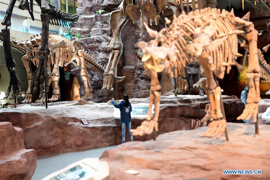 CHINA-ANHUI-HEFEI-GEOLOGICAL MUSEUM-REOPEN (CN)