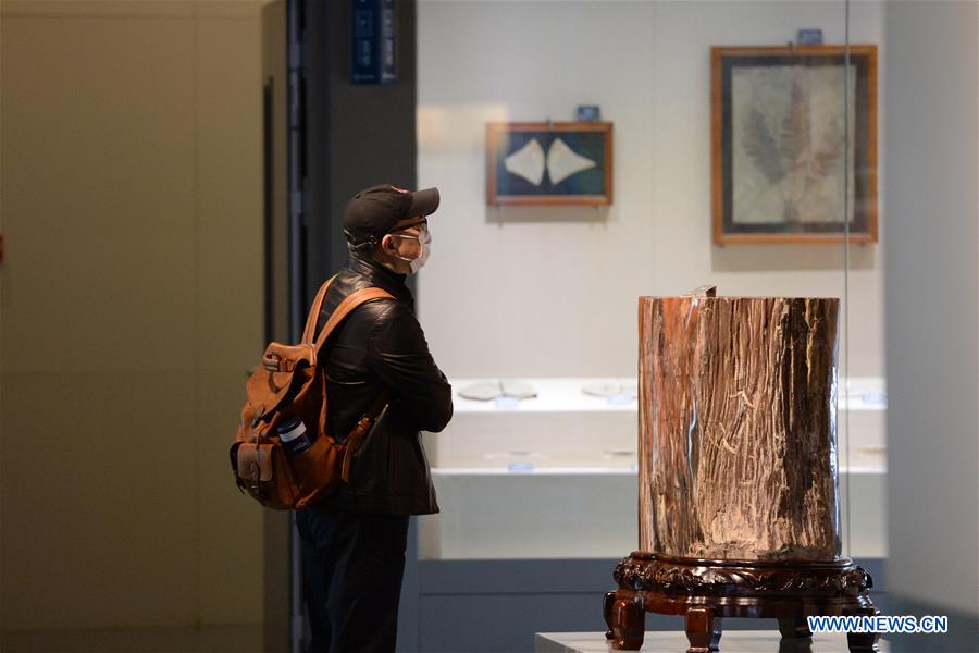 CHINA-ANHUI-HEFEI-GEOLOGICAL MUSEUM-REOPEN (CN)