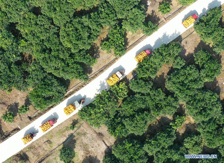 CHINA-GUANGXI-POVERTY RELIEF INDUSTRIES-DEVELOPMENT (CN)