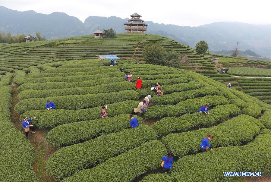 CHINA-GUANGXI-POVERTY RELIEF INDUSTRIES-DEVELOPMENT (CN)