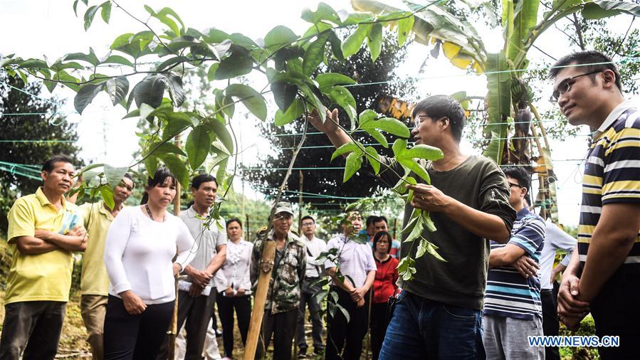 CHINA-GUANGXI-POVERTY RELIEF INDUSTRIES-DEVELOPMENT (CN)