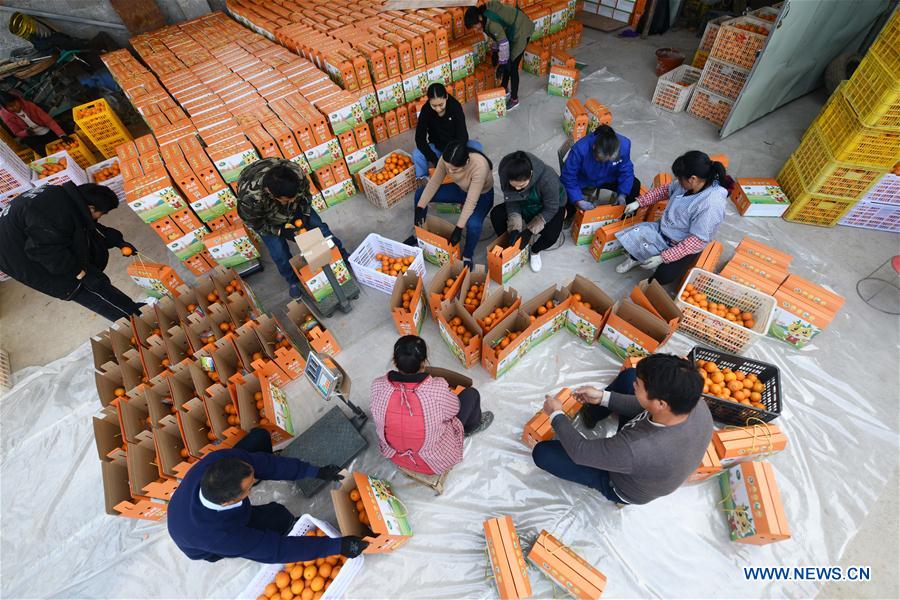 CHINA-GUANGXI-POVERTY RELIEF INDUSTRIES-DEVELOPMENT (CN)