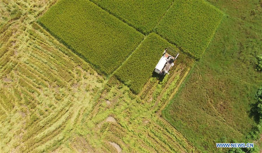 CHINA-GUANGXI-POVERTY RELIEF INDUSTRIES-DEVELOPMENT (CN)