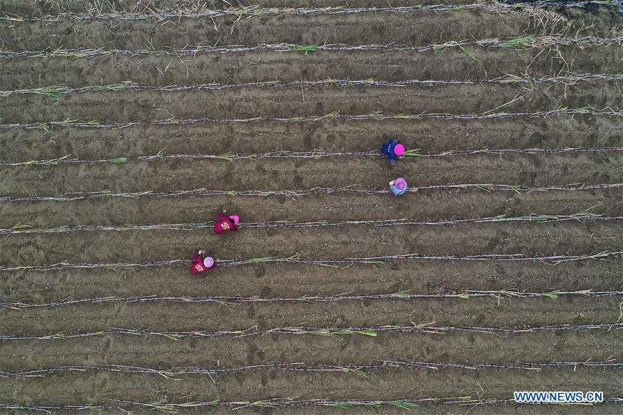 CHINA-GUANGXI-POVERTY RELIEF INDUSTRIES-DEVELOPMENT (CN)