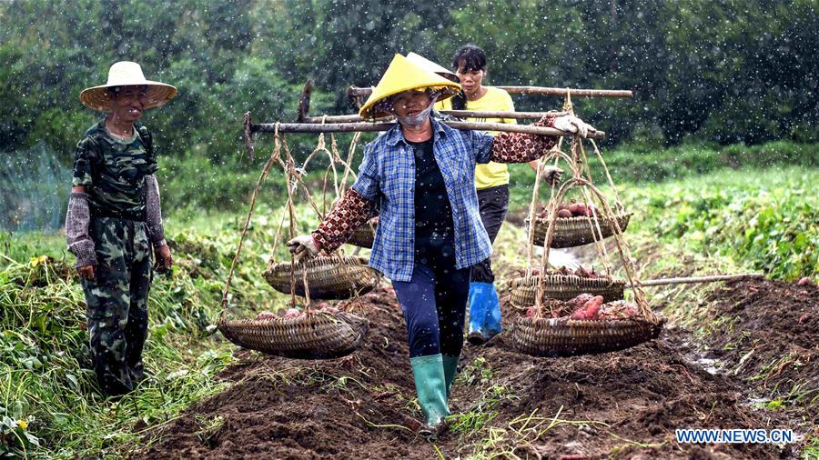 CHINA-GUANGXI-POVERTY RELIEF INDUSTRIES-DEVELOPMENT (CN)