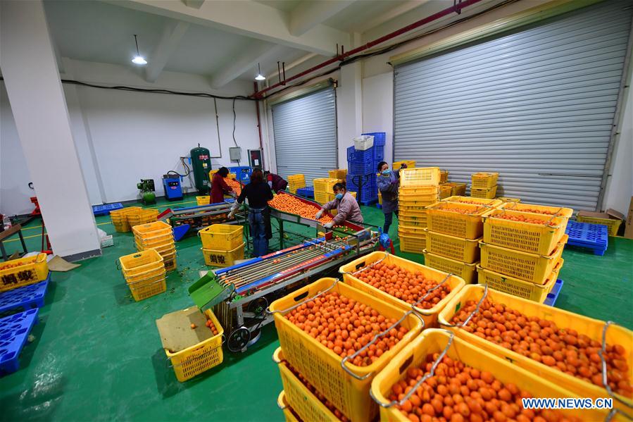 CHINA-GUANGXI-POVERTY RELIEF INDUSTRIES-DEVELOPMENT (CN)