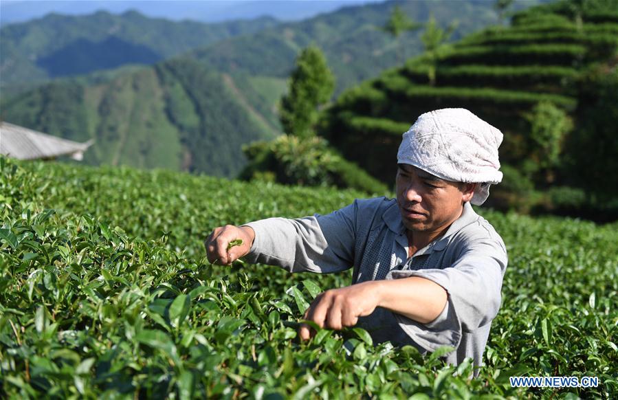 CHINA-GUANGXI-POVERTY RELIEF INDUSTRIES-DEVELOPMENT (CN)