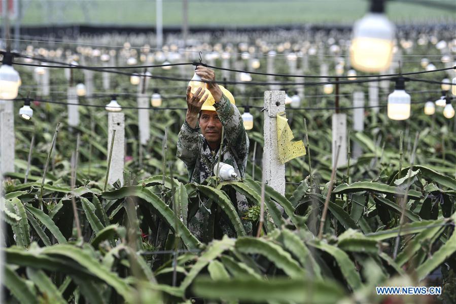 CHINA-GUANGXI-POVERTY RELIEF INDUSTRIES-DEVELOPMENT (CN)