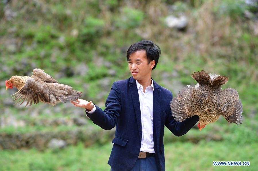 CHINA-GUANGXI-POVERTY RELIEF INDUSTRIES-DEVELOPMENT (CN)