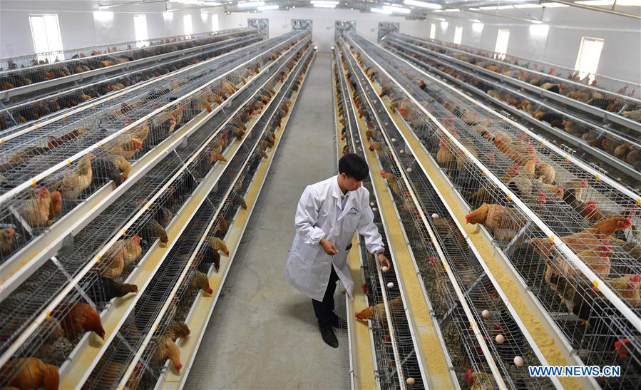 CHINA-GUANGXI-POVERTY RELIEF INDUSTRIES-DEVELOPMENT (CN)