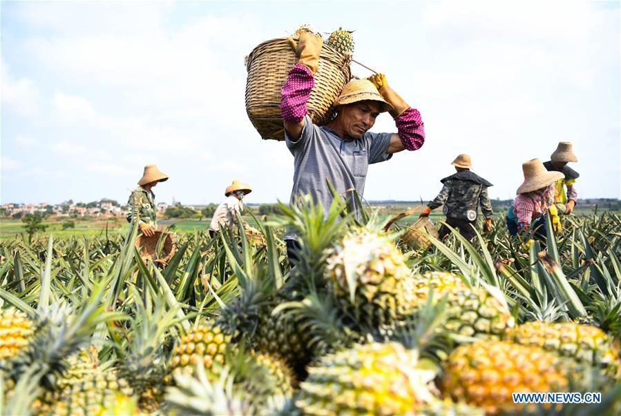 XINHUA PHOTOS OF THE DAY