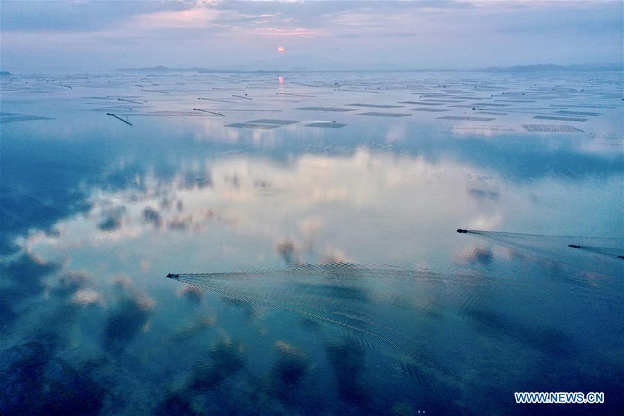 XINHUA PHOTOS OF THE DAY