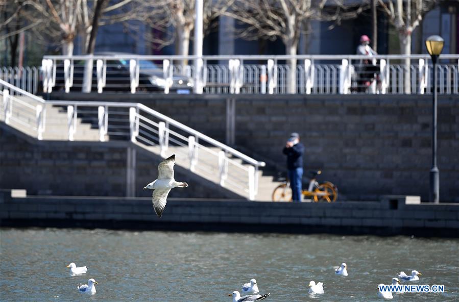 CHINA-TIANJIN-LEISURE (CN)