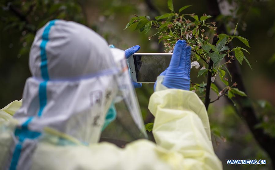 CHINA-WUHAN-SPRING (CN)