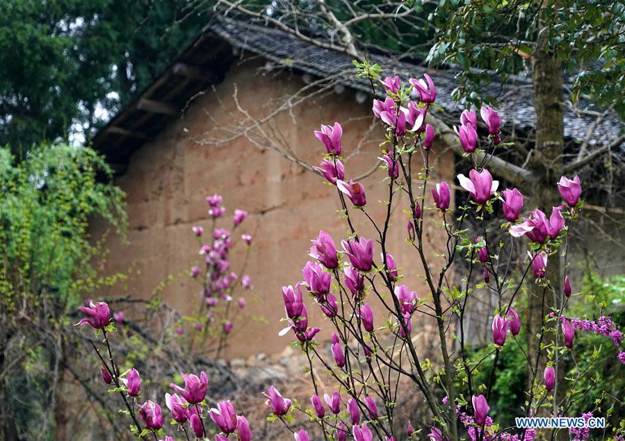 CHINA-HENAN-XIHE ANCIENT VILLAGE-SPRING SCENERY (CN)
