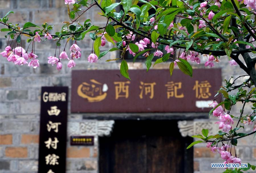 CHINA-HENAN-XIHE ANCIENT VILLAGE-SPRING SCENERY (CN)