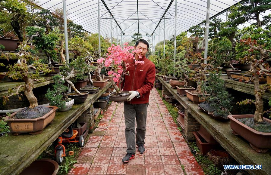 CHINA-HENAN-FLOWERS AND TREES PLANTING INDUSTRY-POVERTY ALLEVIATION (CN)