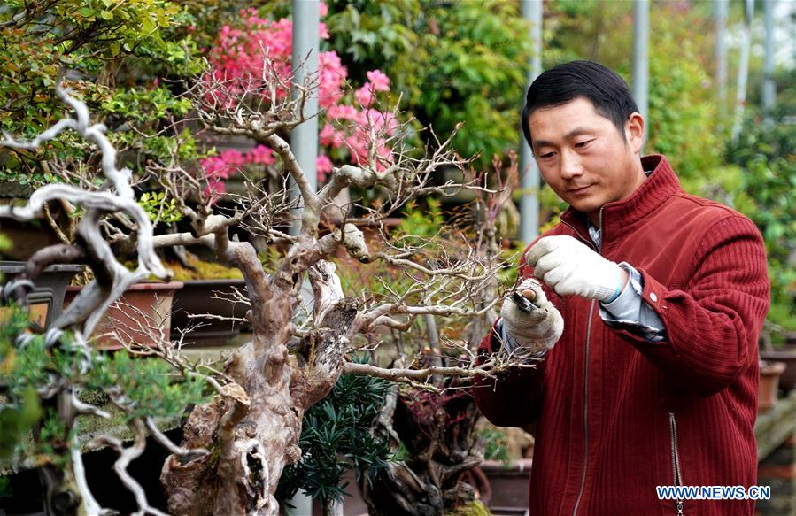 CHINA-HENAN-FLOWERS AND TREES PLANTING INDUSTRY-POVERTY ALLEVIATION (CN)