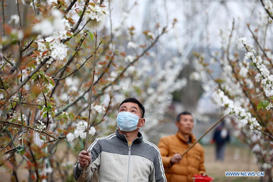 #CHINA-AGRICULTURE-FARM WORK (CN)