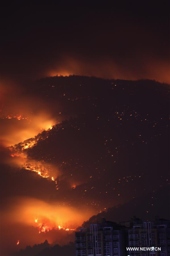 CHINA-SICHUAN-FOREST FIRE(CN)