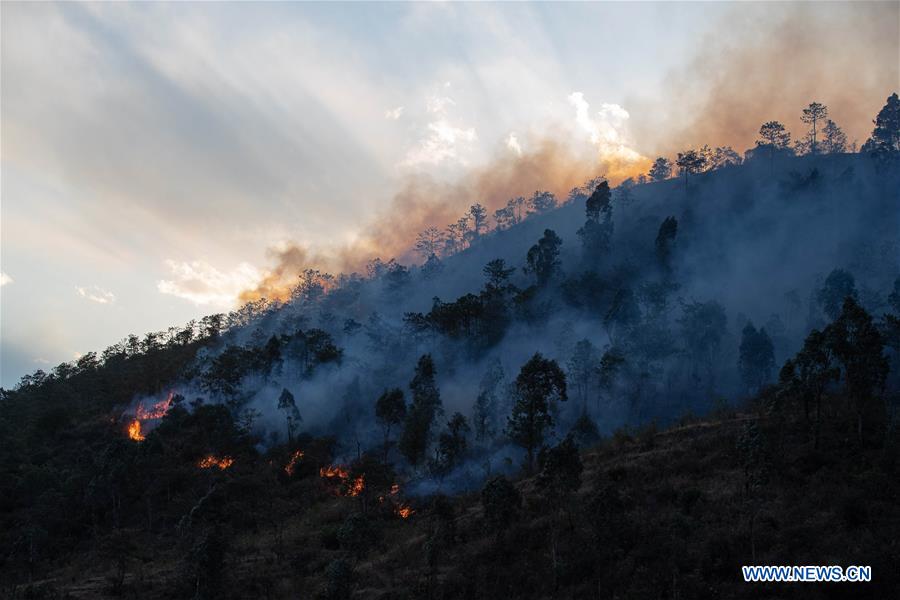 CHINA-SICHUAN-FOREST FIRE(CN)