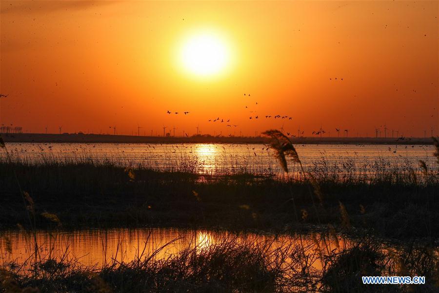 CHINA-LIAONING-WOLONG LAKE WETLAND (CN)