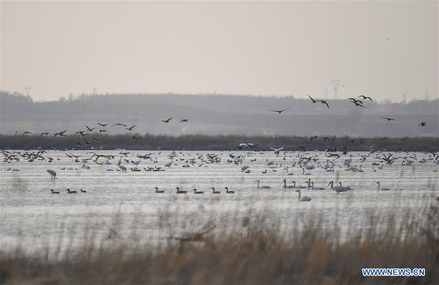 CHINA-LIAONING-WOLONG LAKE WETLAND (CN)