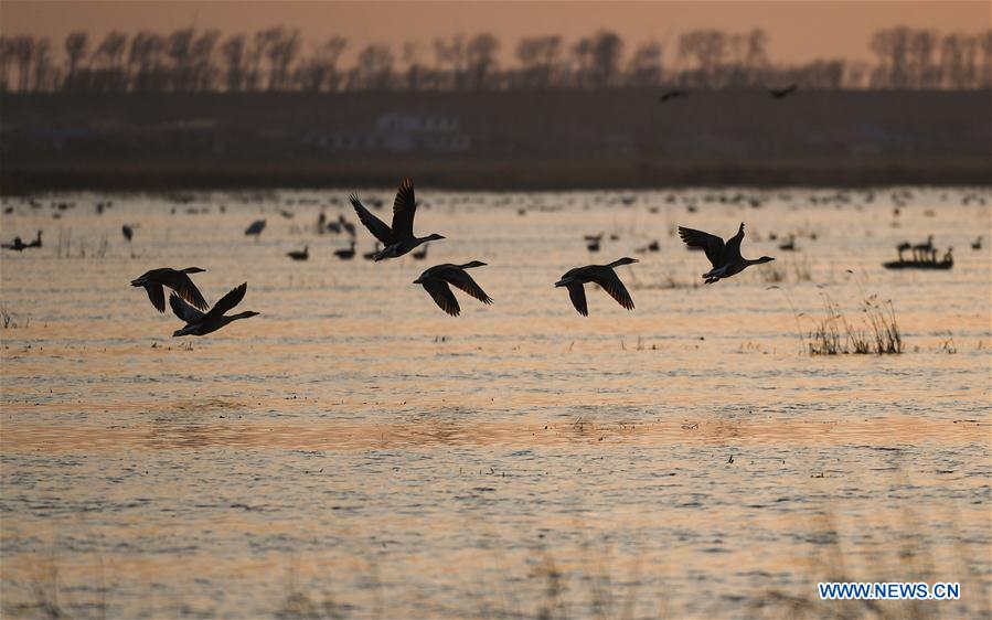 CHINA-LIAONING-WOLONG LAKE WETLAND (CN)
