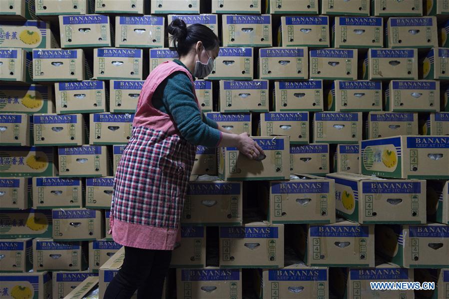 CHINA-HUBEI-XIANGYANG-AGRICULTURAL PRODUCTS (CN)