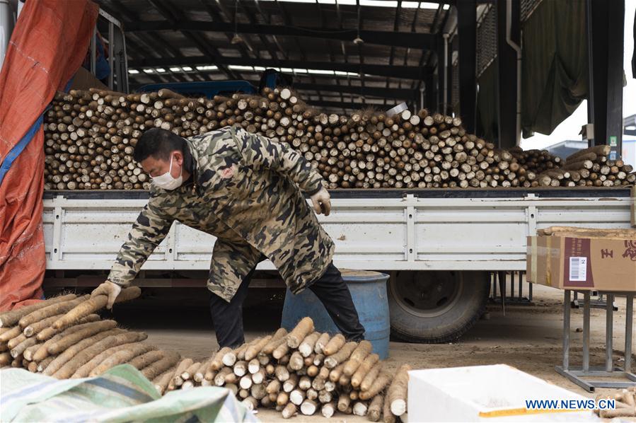 CHINA-HUBEI-XIANGYANG-AGRICULTURAL PRODUCTS (CN)