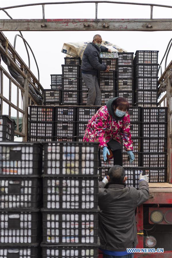 CHINA-HUBEI-XIANGYANG-AGRICULTURAL PRODUCTS (CN)