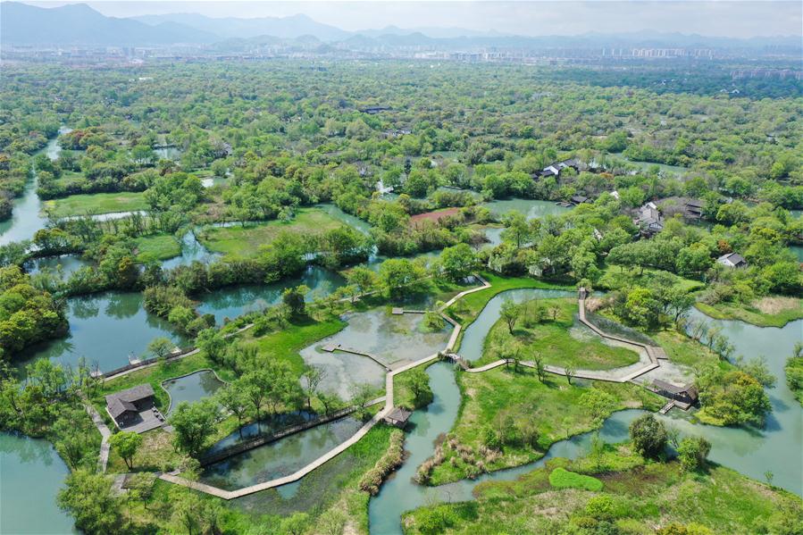 CHINA-ZHEJIANG-HANGZHOU-WETLAND-SCENERY (CN)