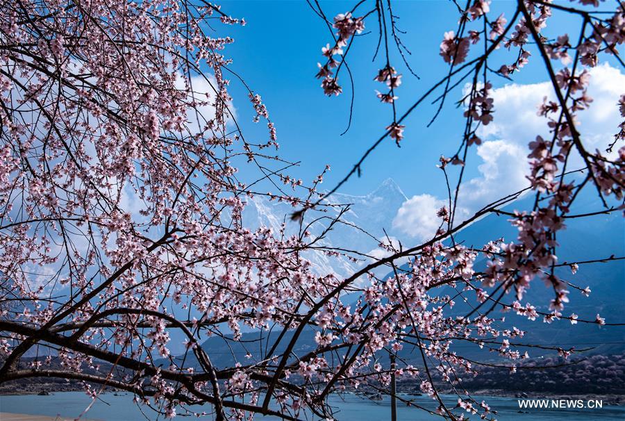 CHINA-TIBET-YARLUNG ZANGBO RIVER-SPRING-SCENERY (CN)