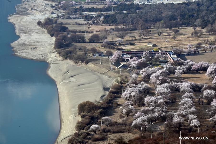 CHINA-TIBET-YARLUNG ZANGBO RIVER-SPRING-SCENERY (CN)