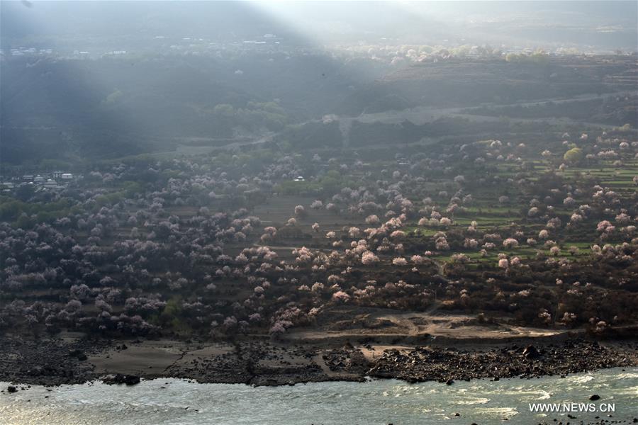 CHINA-TIBET-YARLUNG ZANGBO RIVER-SPRING-SCENERY (CN)