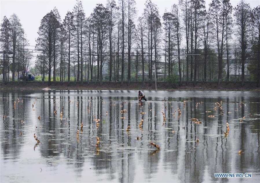 CHINA-ZHEJIANG-HUZHOU-COUNTRYSIDE (CN)