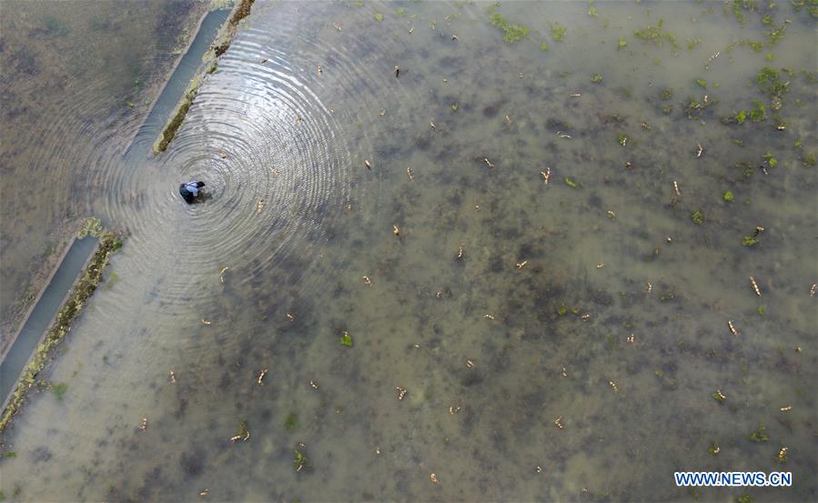 CHINA-ZHEJIANG-HUZHOU-COUNTRYSIDE (CN)