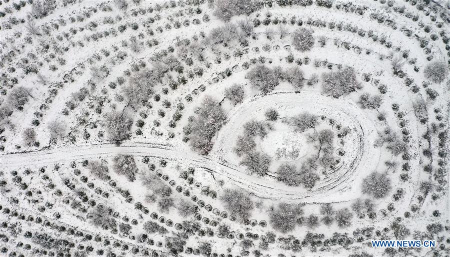 CHINA-NINGXIA-GUYUAN-SNOW SCENERY (CN)