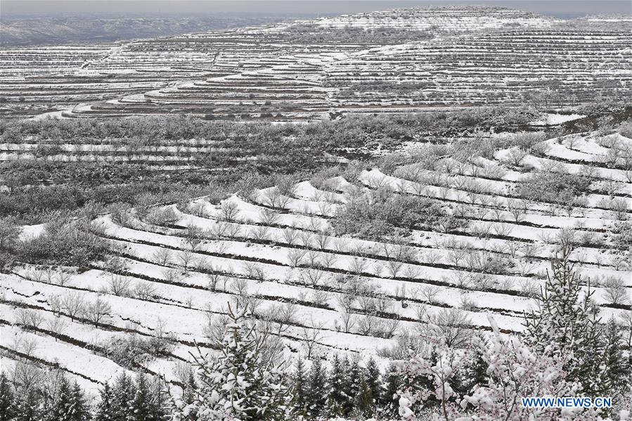 CHINA-NINGXIA-GUYUAN-SNOW SCENERY (CN)