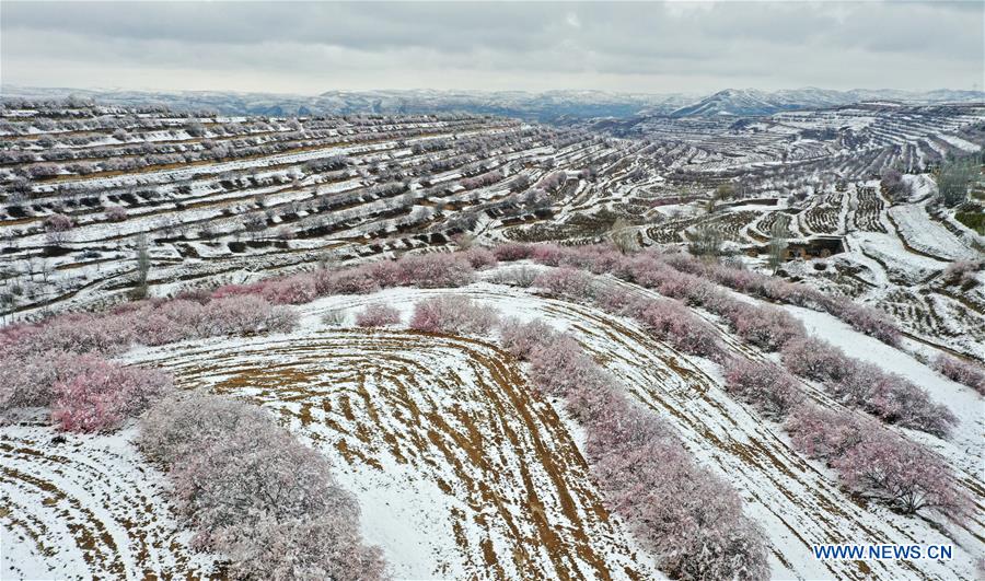 CHINA-NINGXIA-GUYUAN-SNOW SCENERY (CN)