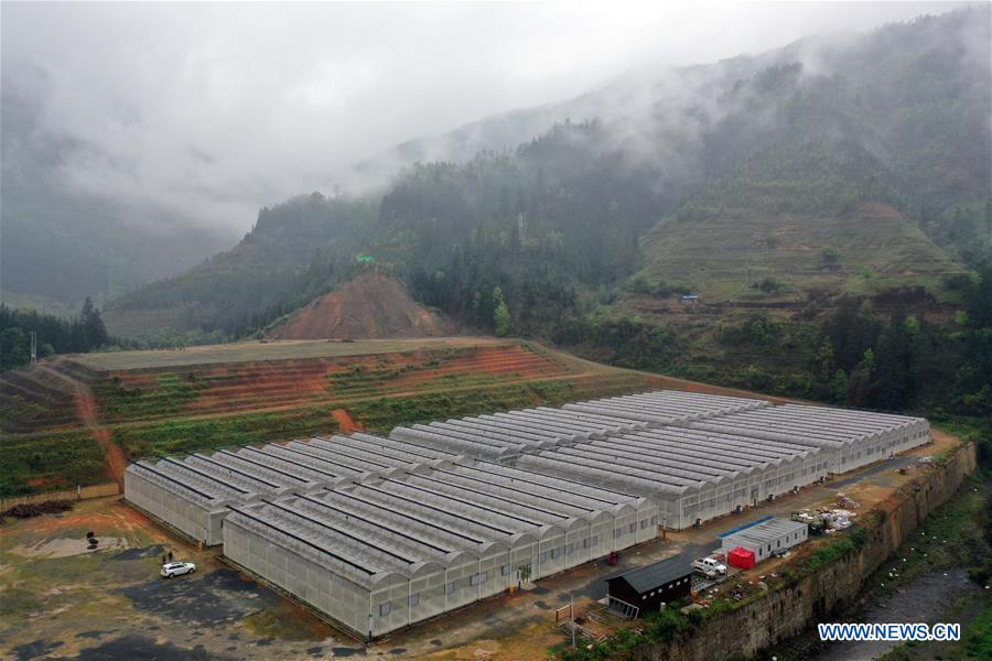 CHINA-GUIZHOU-FLOWER CULTIVATION (CN)