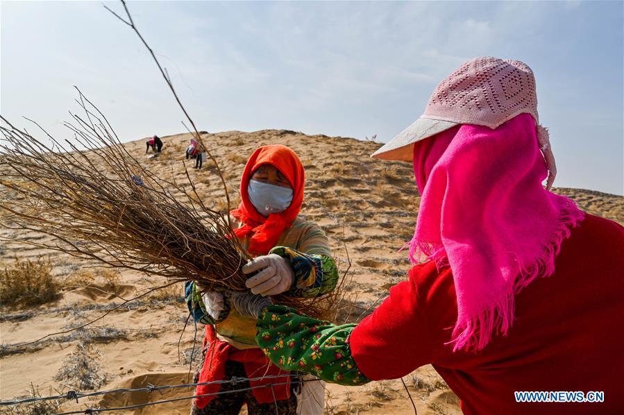 CHINA-INNER MONGOLIA-TENGGER DESERT-DESERTIFICATION CONTROL (CN)