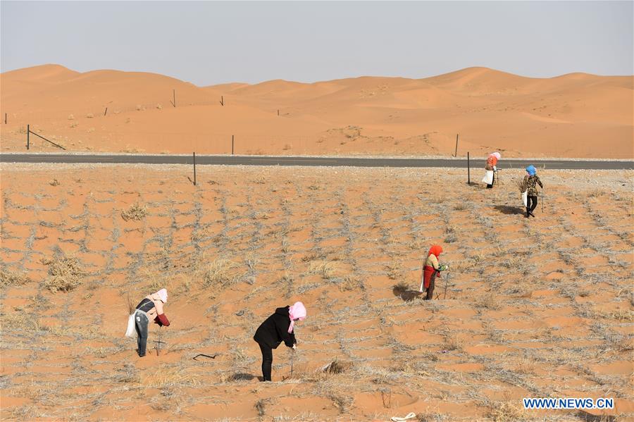 CHINA-INNER MONGOLIA-TENGGER DESERT-DESERTIFICATION CONTROL (CN)