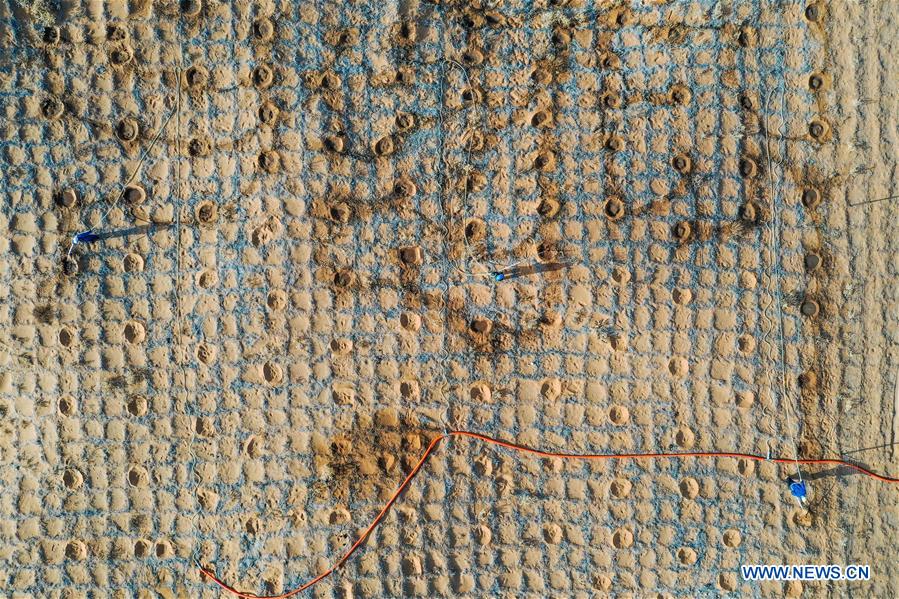 CHINA-INNER MONGOLIA-TENGGER DESERT-DESERTIFICATION CONTROL (CN)